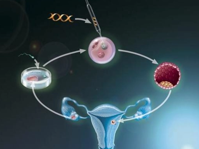  试管婴儿移植多久可以检查到怀孕